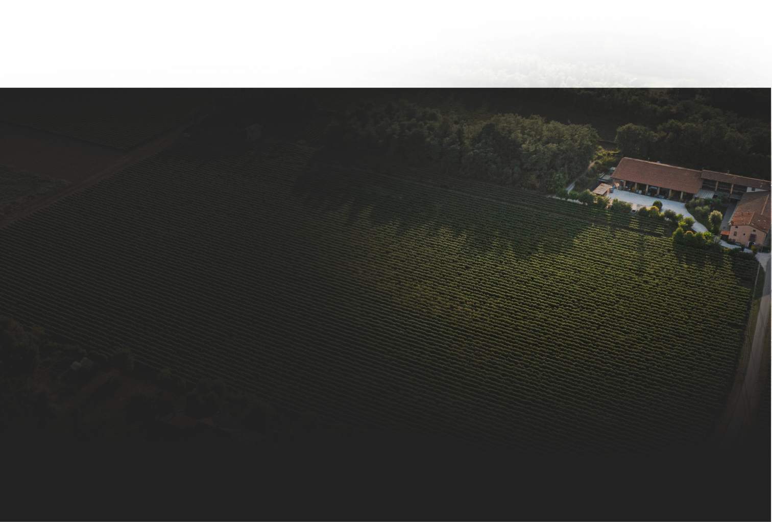 uve franciacorta