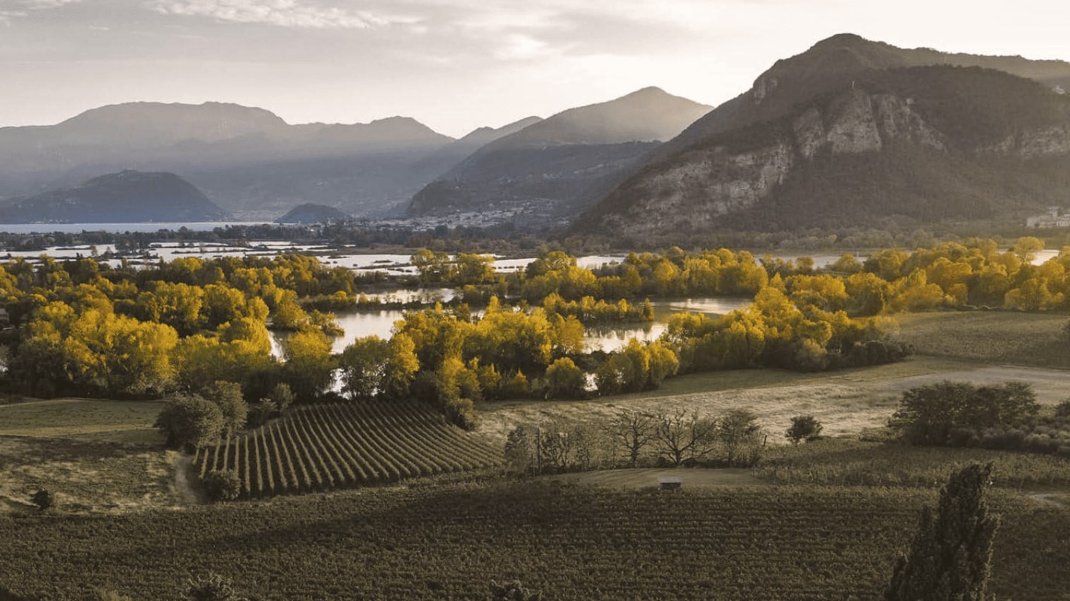 vini franciacorta
